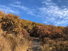 -白草畔自然风景区