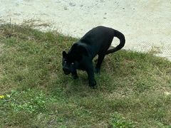 -石家庄市动物园