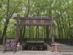 -音乐台