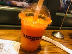 -Wagas沃歌斯(深圳印力中心店)