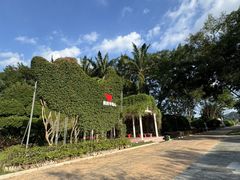 -东南花都花博园