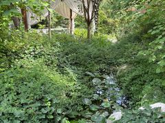 -太白山御龙湾温泉