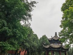 -洛阳白马寺