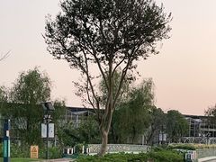 -南通鲜花小镇