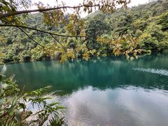-鼎湖山风景区