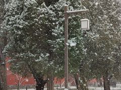 -北京市劳动人民文化宫(太庙)