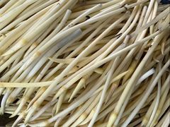 -洪湖生态旅游区