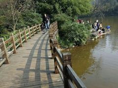 -龙头寺公园