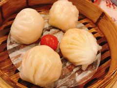 金牌虾饺皇-点都德(聚福楼店)