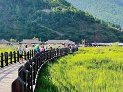 -丽江泸沽湖景区