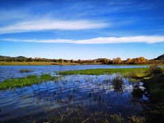 -塞罕坝国家级自然保护区