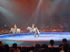 -珠海横琴长隆《卡卡虎奇遇记》