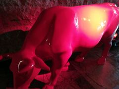 -上海外滩英迪格酒店