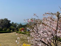 -青岛海景花园大酒店