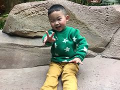 -杭州开元森泊度假乐园