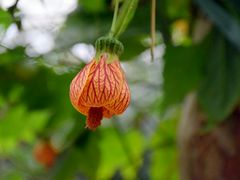 -南通洲际绿博园