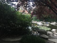 -神仙树公园