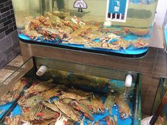 -金海湾海鲜总店