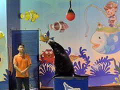 -太平洋海底世界