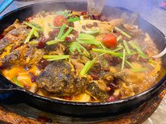 -老板恋上鱼(恒隆广场店)