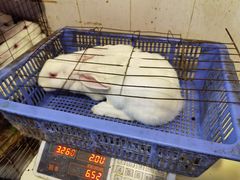 -米二红烧兔(华阳店)