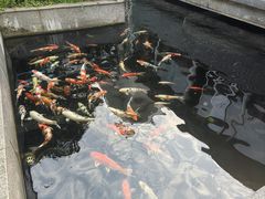 -桃园盛宴·岭南粤菜·手工茶点(南庄店)