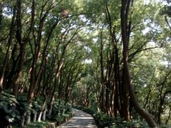 -上海市保健医疗中心(华东疗养院)