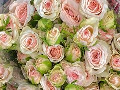 -循礼门鲜花花市(武汉循礼门店)