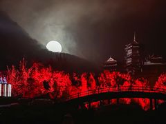 -禅宗少林·音乐大典