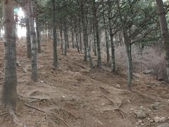 -阳台山自然风景区