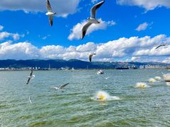 -海埂大坝