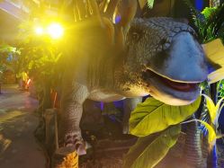 点击看大图 -恐龙探索乐园(磁器口店)