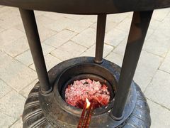 -秋霞圃