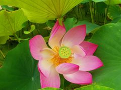 -南戴河国际娱乐中心