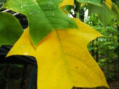 -昆嵛山石门里景区