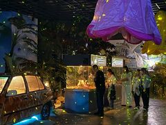 -顺德南宏海立方海洋公园