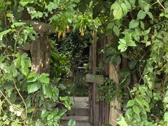 -斯多格书乡(北京大学畅春园店)