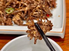 猫爪菇炒牛肉-下梅人家土菜馆(历史文化餐厅度假区店)