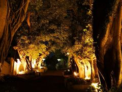 -龙环葡韵住宅式博物馆