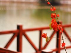 -云溪植物园