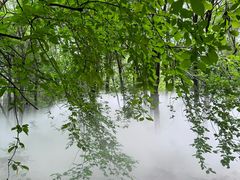 -帽儿山风景区