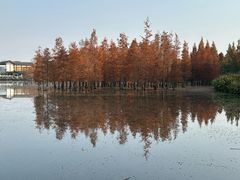 -白鹭湾湿地公园