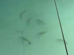 -DGE季风钓虾营地·团建·聚会