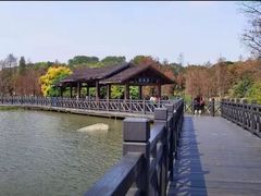 -海珠湖公园