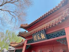 -桃花堤公园