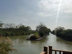 -大湾区中央湿地公园