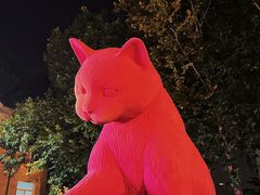 -西安电影制片厂