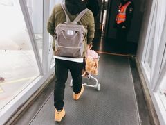 -大漠烤肉(盘旋路店)