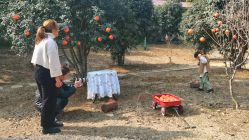 -莫奈庄园·儿童摄影馆·影视基地(江宁店)