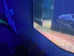 -欢乐海岸海洋奇梦馆